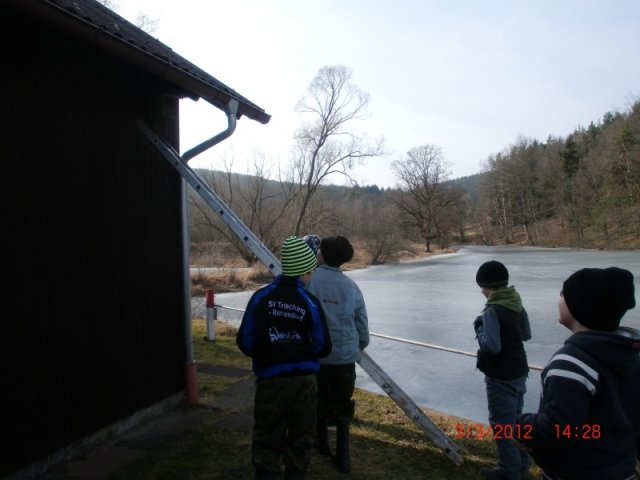 Nistkasten 030312 (43)